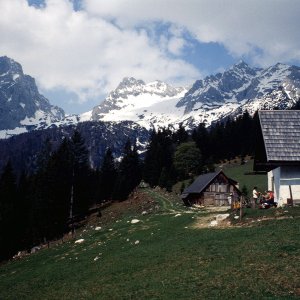 Beim Bergwandern in den Alpen