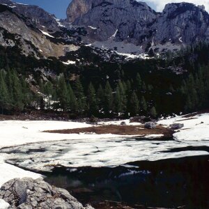 Beim Bergwandern in den Alpen