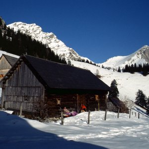 Beim Bergwandern in den Alpen