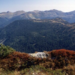 Beim Bergwandern in den Alpen