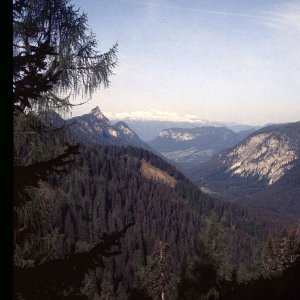 Beim Bergwandern in den Alpen