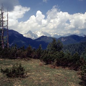 Beim Bergwandern in den Alpen