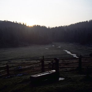 Beim Bergwandern in den Alpen