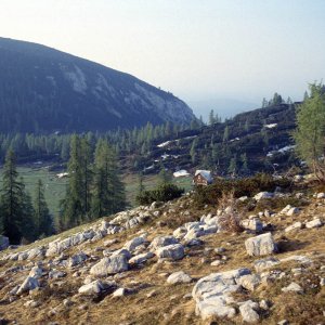 Beim Bergwandern in den Alpen