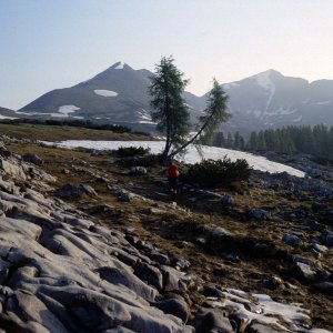 Beim Bergwandern in den Alpen