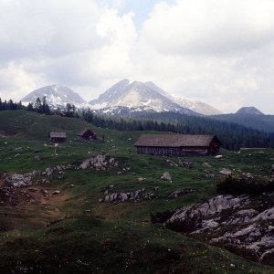 Beim Bergwandern in den Alpen