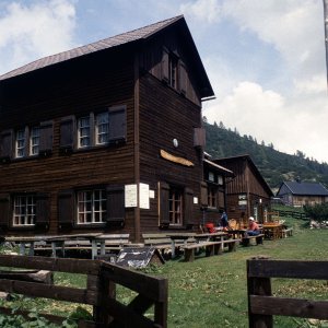 Beim Bergwandern in den Alpen