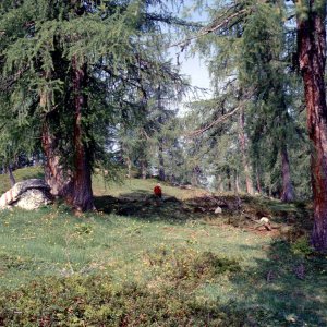 Beim Bergwandern in den Alpen