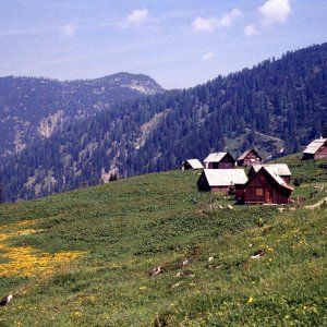 Beim Bergwandern in den Alpen