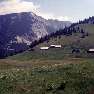 Beim Bergwandern in den Alpen