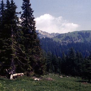 Beim Bergwandern in den Alpen