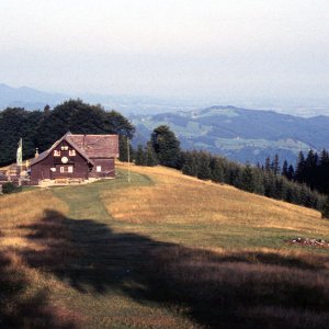 Beim Bergwandern in den Alpen