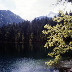 Beim Bergwandern in den Alpen