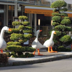 Advent in Velden am Wörthersee