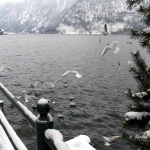 Hallstatt im Winter