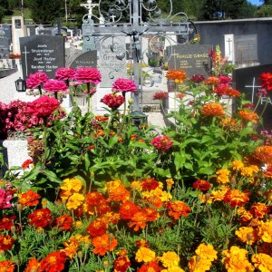 Friedhof Maria Raisenmarkt