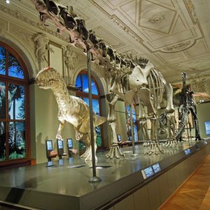 Sauriersaal im Naturhistorischen Museum in Wien