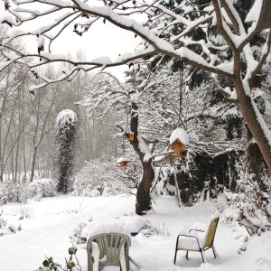 Garten-Winter