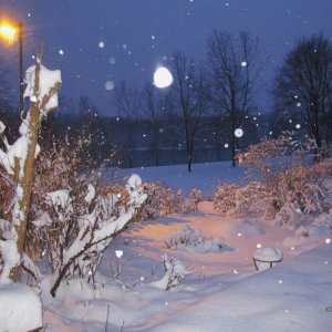 Garten-Winter