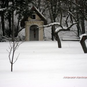 Gartenwinter nahe Wien