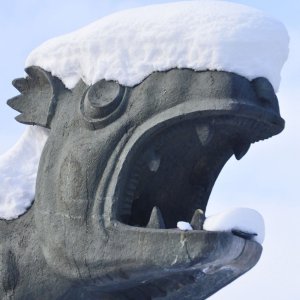 Schneehaube 1