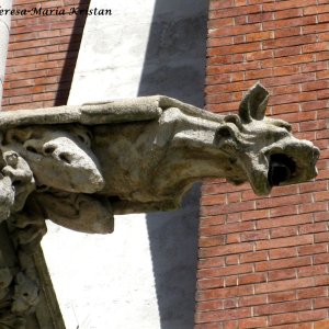 Wasserspeier Herz-Jesu Kirche Graz