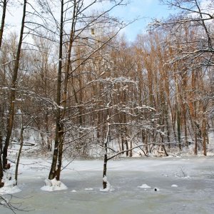 Ziegelteich im Winter