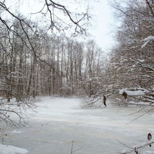 Ziegelteich im Winter 2