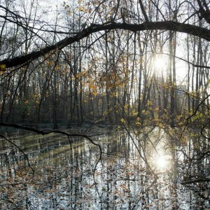 Ziegelteich, Blick Richtung Terassenhaussiedlung