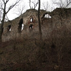 Ruine Spilberg