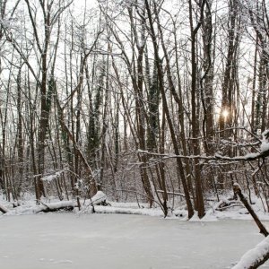 Ziegelteich und Wintersonne