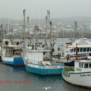 Bonavista, Newfoundland and Labrador