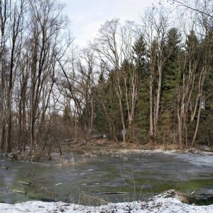 Teich - Pano