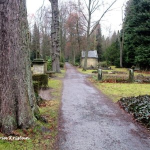 Friedhof Goslar Hildesheimerstraße