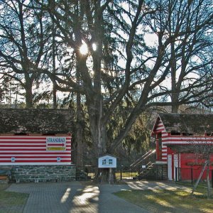 Badeanstalt in Plank am Kamp