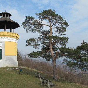 Donauwarte bei Stein-Krems