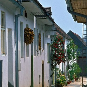 Gasse in Mörbisch am See