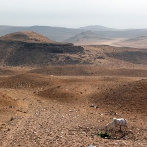 Blick von den Pyramiden in die Wüste