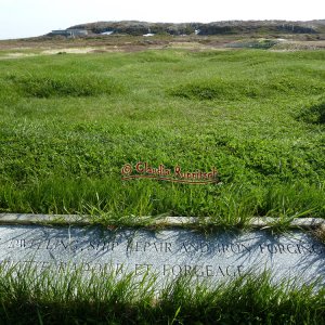 L'Anse aux Meadows, Neufundland und Labrador