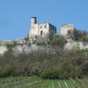 Burgruine Falkenstein