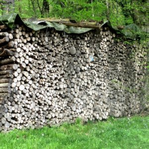 Naturpark Aigen, Salzburg