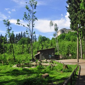 Affenberg Landskron bei Villach