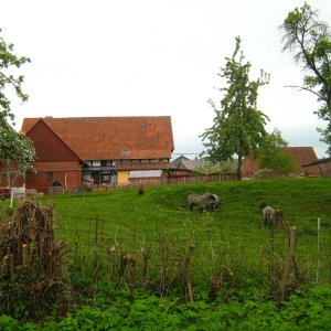 Schaumburger Gehöft in Groß Hegestorf (Grafschaft Schaumburg)