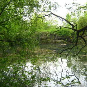 Der "Krater" bei Bad Nenndorf