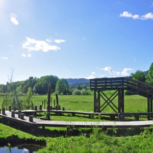 Ramsar-Moor in Schiefling (Kärnten)