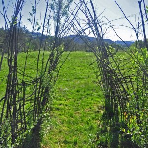 Ramsar-Moor in Schiefling (Kärnten)