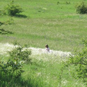 Mädchen im Federgras