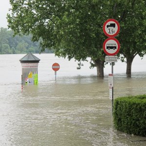 Hochwasser in Hainburg