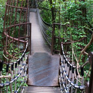 Hängebrücke durch den Garten