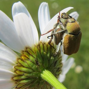 für Nachwuchs wird gesorgt